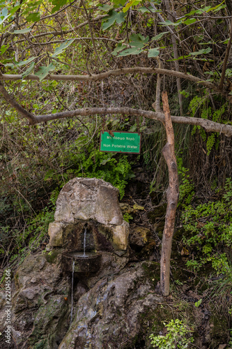 water source located at Bath of Aphrodite - Cyprus, 