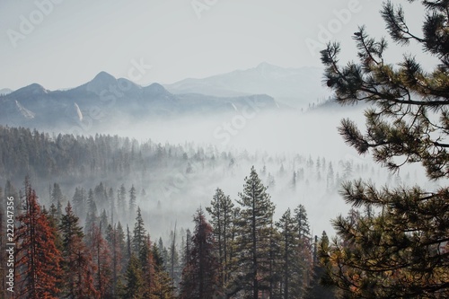 Processed with VSCO with se3 preset