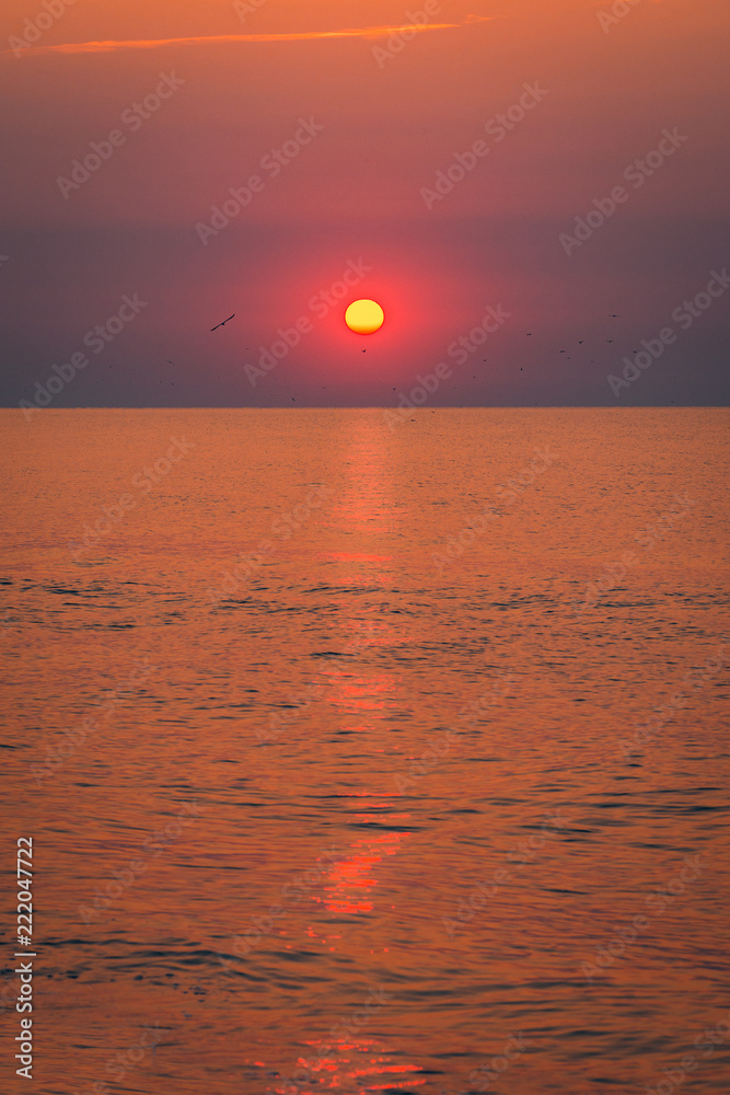 Sunrise over the sea with sea gulls at horizon