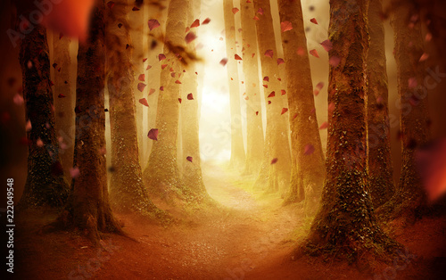 A tree lined pathway leading into a autumn coloured forest with falling leaves as the sun shines through. Photo composite.