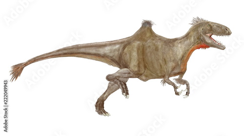 学名　コンカベナトル.。近年スペインで発見された白亜紀前期の肉食恐竜。ユニークな特徴は、腰部脊椎骨の上に駱駝のような瘤があり、鳥類に近似する種ではないにもかかわらず、前脚の一部に羽毛の痕跡が確認されている。2018年にこの画像の形に完成したオリジナルイラスト。 © Mineo