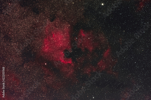 The North America Nebula and the Pelican Nebula in the constellation Cygnus photographed from Mannheim in Germany.