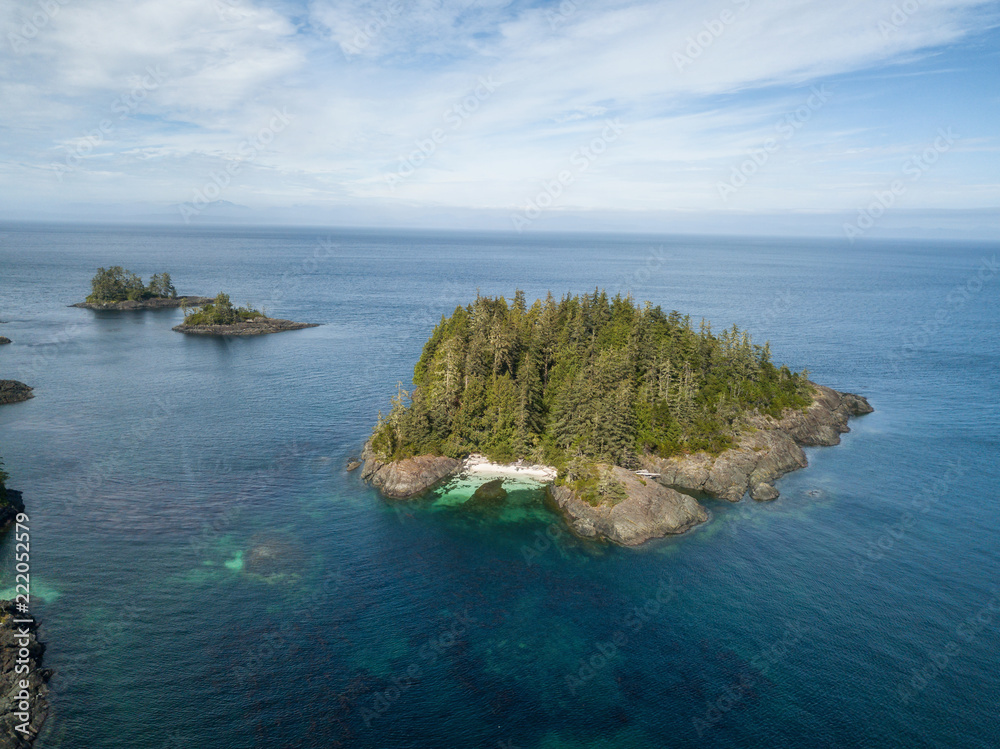 Aerial landscape of a rocky coast during a vibrant summer day. Taken on the Northern Vancouver Island, British Columbia, Canada.