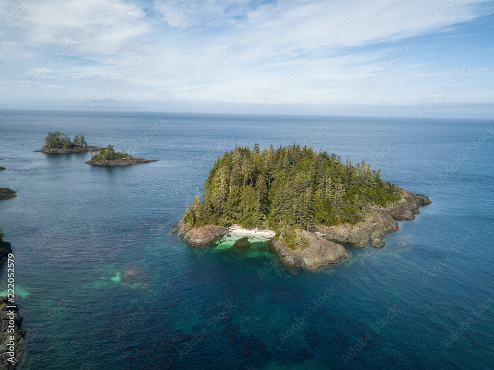 Fototapeta premium Aerial landscape of a rocky coast during a vibrant summer day. Taken on the Northern Vancouver Island, British Columbia, Canada.