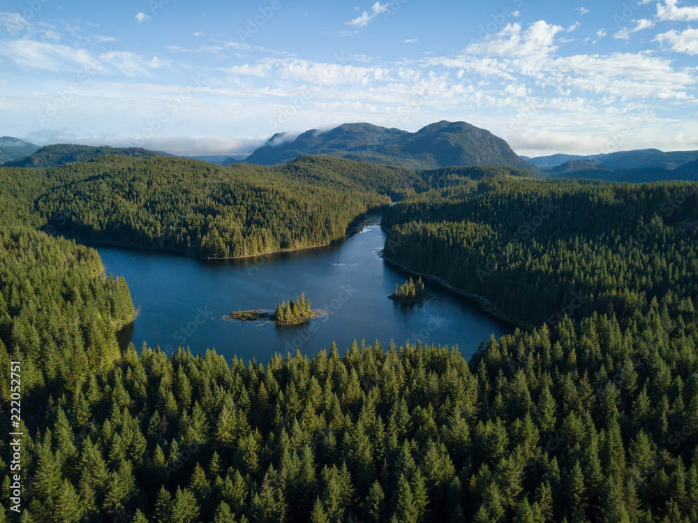 Aerial panoramic view of a beautiful Canadian Landscape during a vibrant sunny summer day. Taken in Cedar Lake, Vancouver Island, BC, Canada.