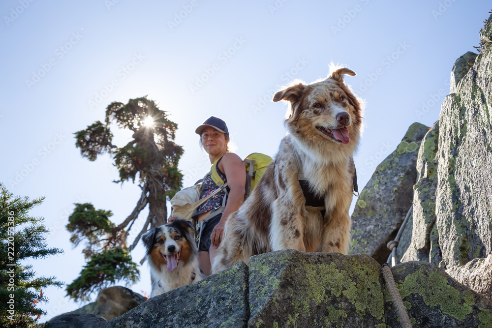 Obraz premium Woman and dogs are hiking during a vibrant summer day. Taken in Howe Sound, near Vancouver, BC, Canada.