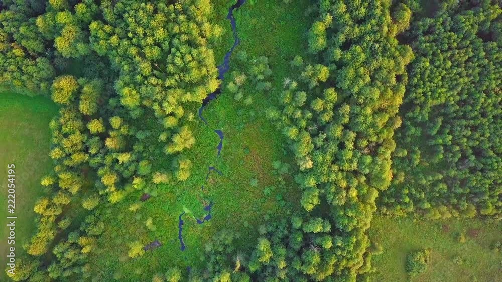 4k AERIAL: Top down view on small river in wild early autumnal forest. Polish landscape. 4k AERIAL: Top down view on small river in wild early autumnal forest. Polish landscape.