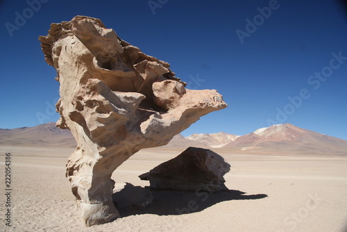 Arbol de Pietra - Altiplano, Bolivien