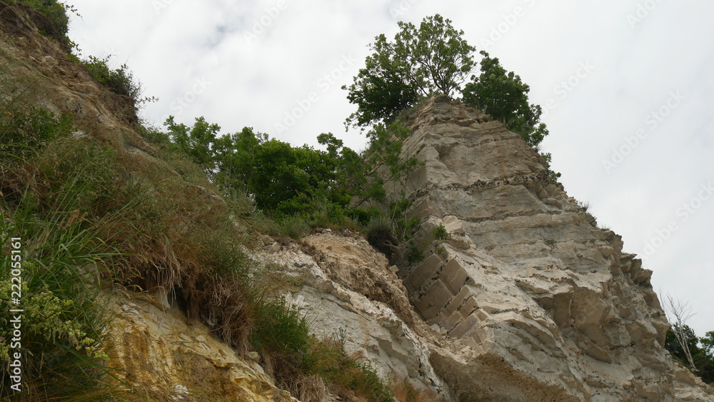 Fototapeta premium Scogliera bianca di Stevns Klint in Danimarca