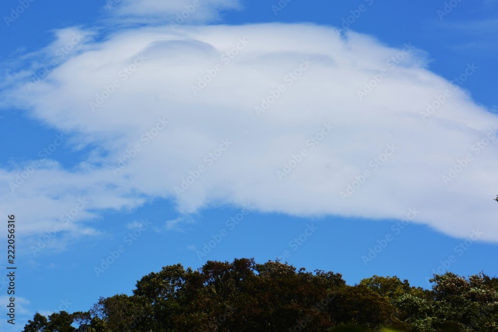 Autumn scenery background / Blue sky and white clouds Autumn scenery background / Blue sky and white clouds