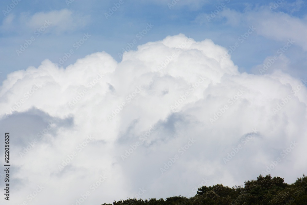 Autumn scenery background / Blue sky and white clouds Autumn scenery background / Blue sky and white clouds