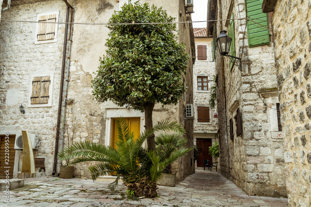 Obraz premium Kotor town, Montenegro