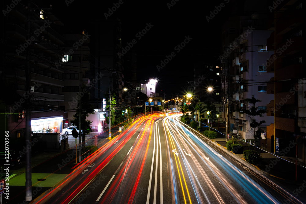 Obraz premium 夜の彩り