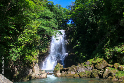 奈曽の白滝