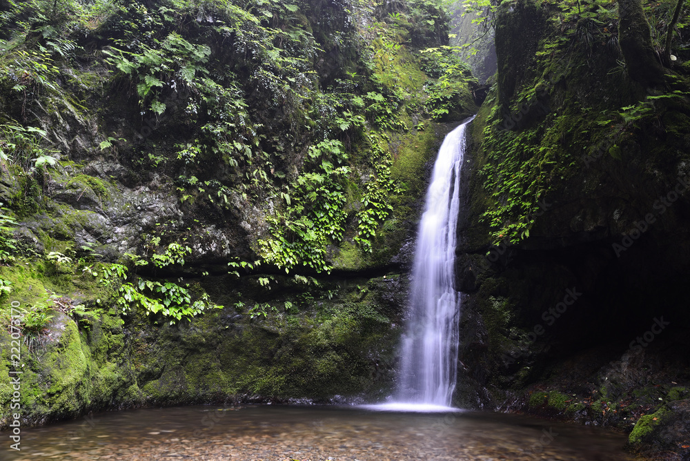 Water fall in the forest at Mt. Mitake, Tokyo, Japan.