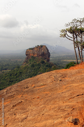 The wide view from Pidurangala Rock, not far from Sigiriya photo