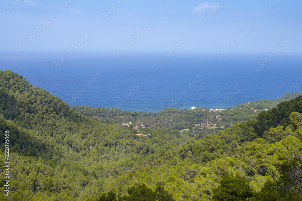 View of Dense Forest, Valley, and Ocean From Mountain Peak
