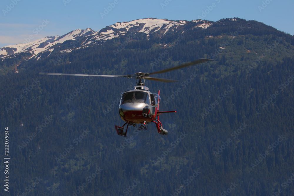Obraz premium Helicopter in alaska