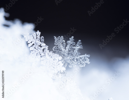 snowflake in the snow, winter