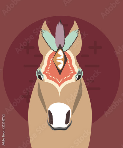 circus horse carnival festival decorated accessories