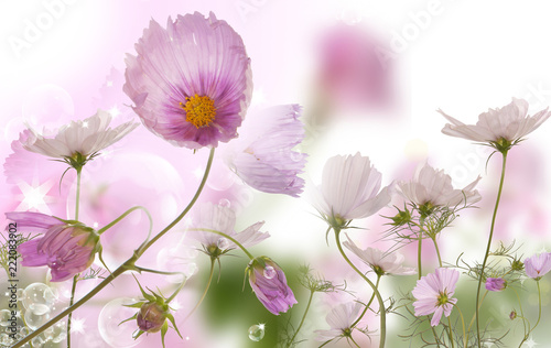 flowers wild springtime © red150770