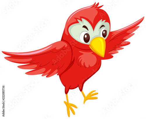 Cute red flying bird