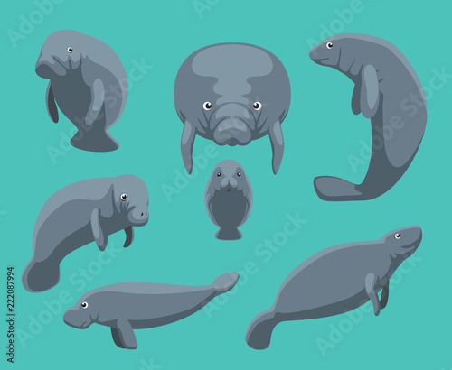 Manatee Seven Poses Set Vector Illustration