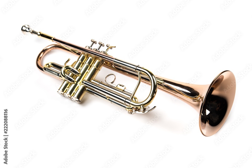 Obraz premium Single Trumpet