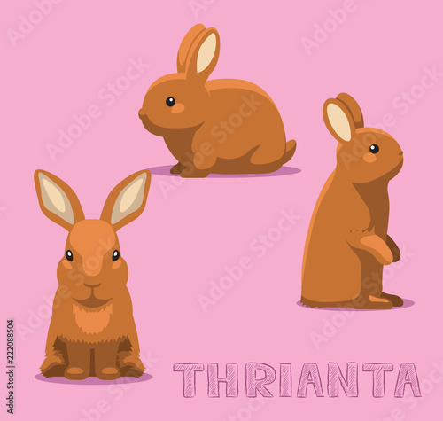 Rabbit Thrianta Cartoon Vector Illustration