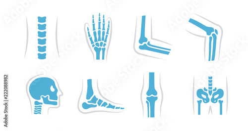 Vector set of knee, leg, pelvis, scapula, skull, elbow, foot, hand and other icons. Orthopedic and skeleton symbols on white background. Human joints and bones.