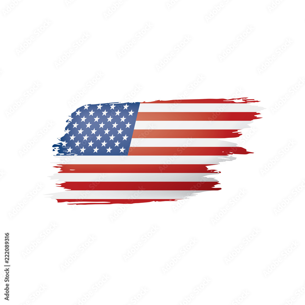 USA flag, vector illustration on a white background