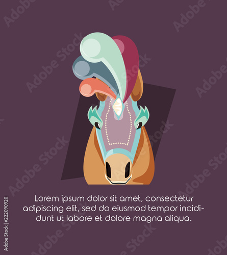 circus horse carnival festival decorated accessories