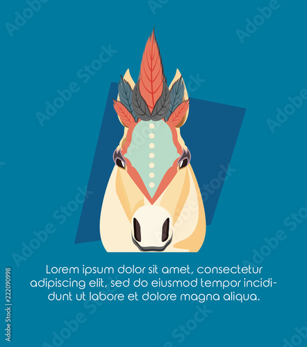 circus horse carnival festival decorated accessories