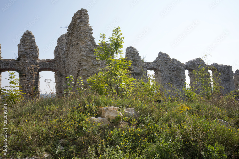 Zamek Rabsztyn – ruiny średniowiecznego zamku leżącego na Jurze Krakowsko-Częstochowskiej,