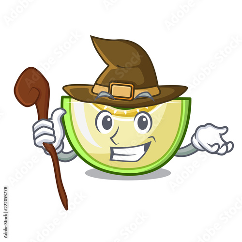 Witch cartoon sweet melon slice to dessert