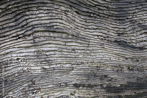 gray stone with wave forms and moss on it's surface