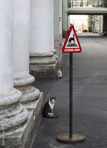 Foto cats sign