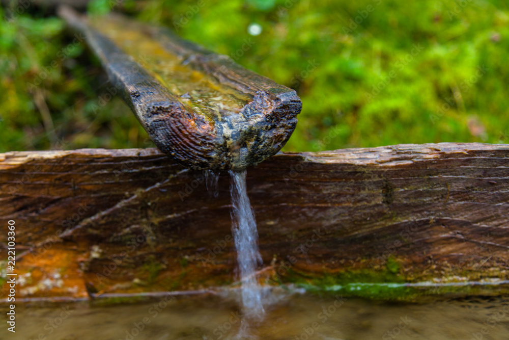 water from a spring water from a spring