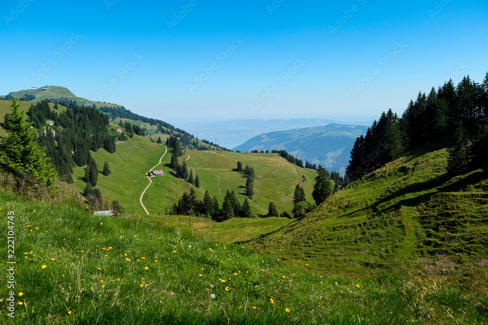 Swiss Summer Landscape