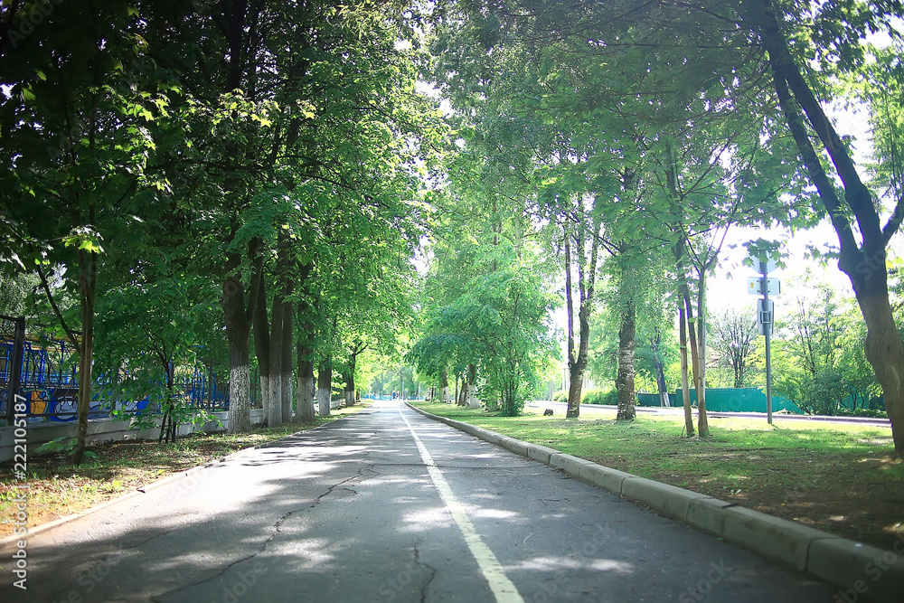 summer park landscape, green trees and walkway in the summer city park