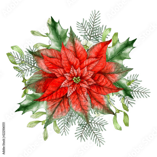 Watercolor illustration - Christmas star. Classic Christmas decoration. Poinsettia. Clip art for christmas design.  © vracovska
