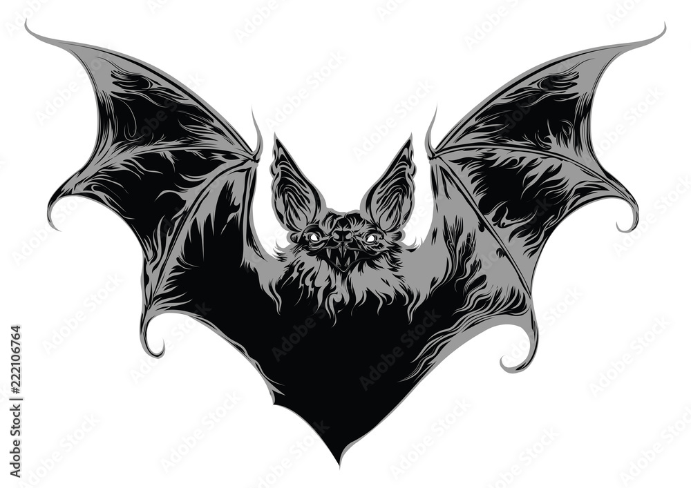 Vetor do Stock: Ghost bat vector illustration | Adobe Stock