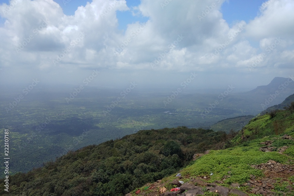 Naklejka premium Nature's beauty