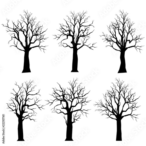 Vector Set Silhouettes dead trees set.