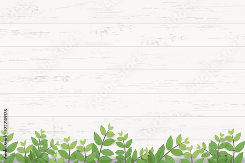 Wood plank texture background with green leaves. Vector illustration.