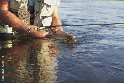 Fly fisherman catching rainbow trout in river