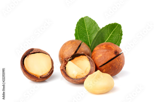 The macadamia nuts with leaf isolated. photo