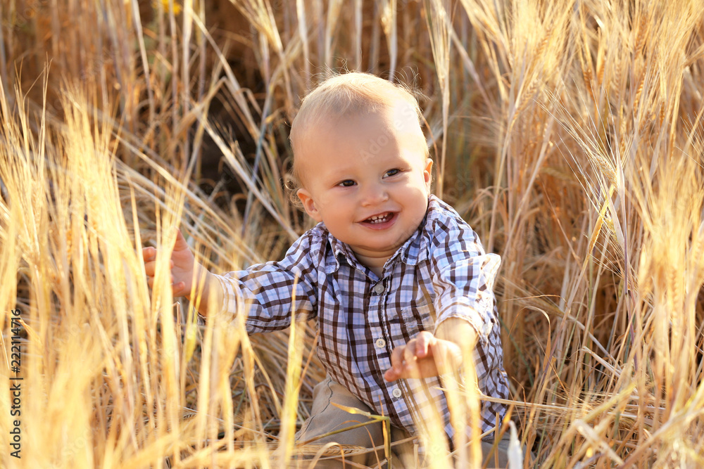 Cute little baby in wheat field on summer day Cute little baby in wheat field on summer day