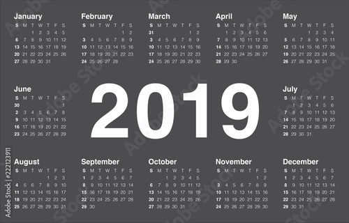 Year 2019 calendar vector design template
