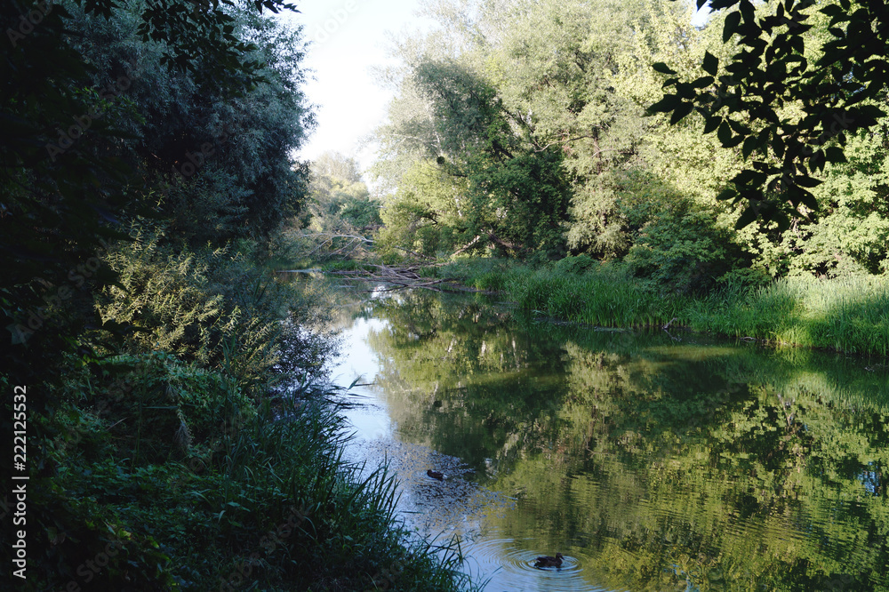 River reflection River reflection
